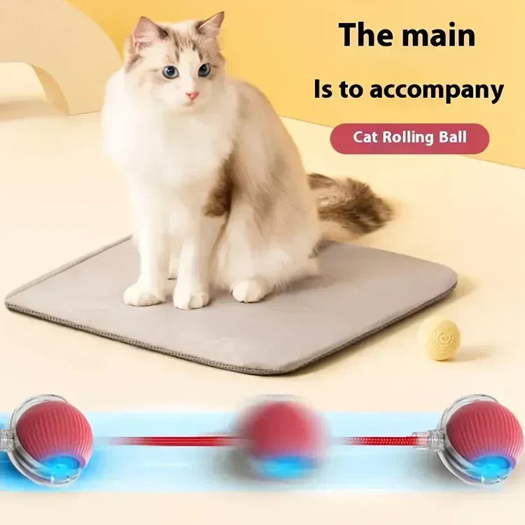 Balle Intelligente pour Animaux